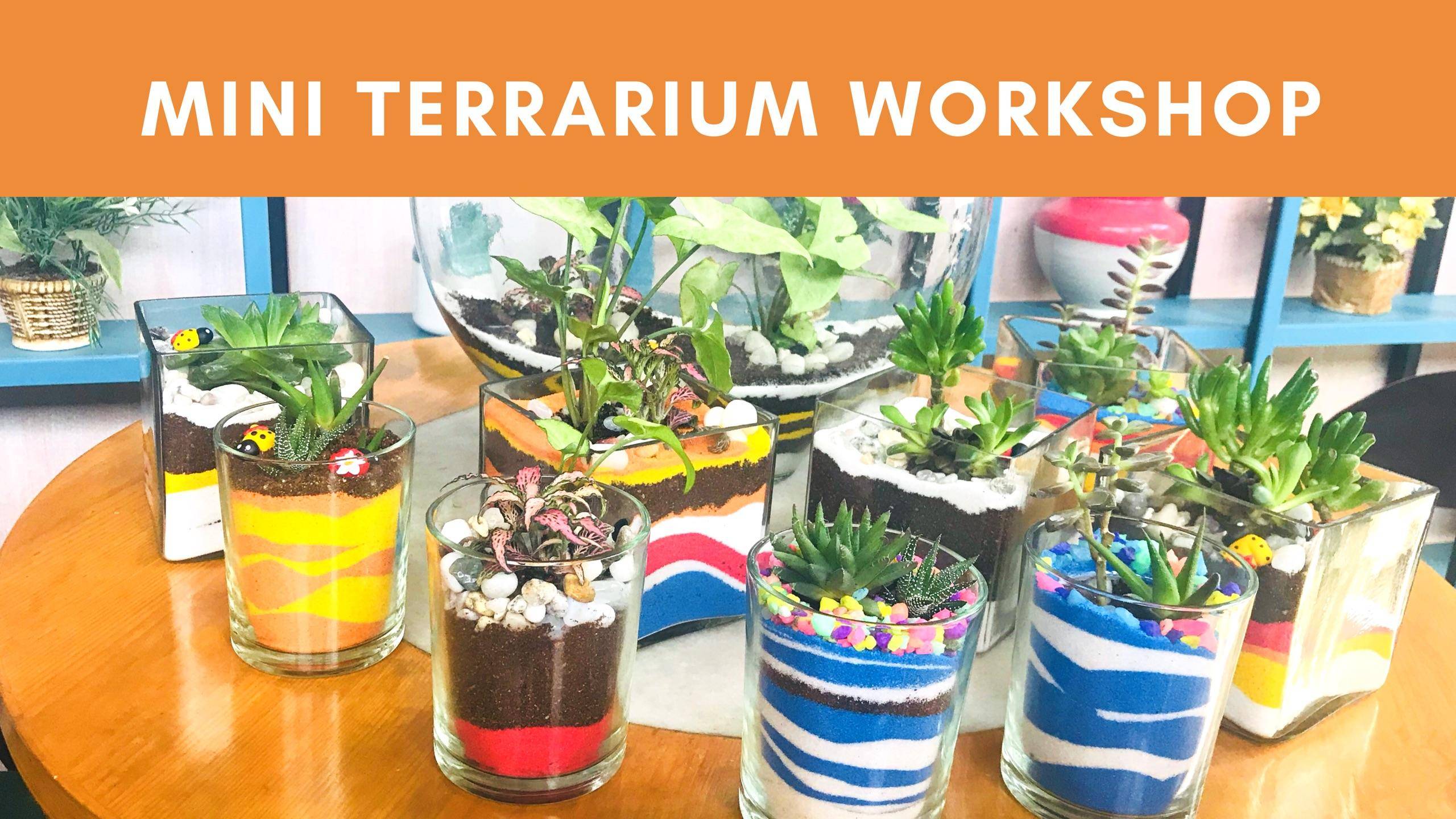 Mini Terrarium Workshop