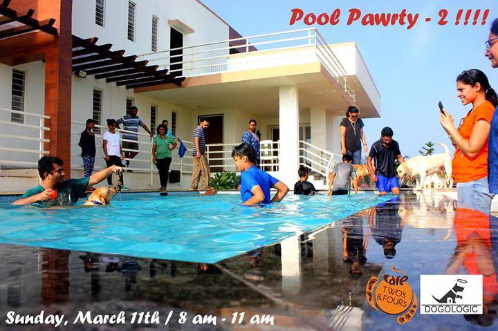 Pool Pawrty - 2