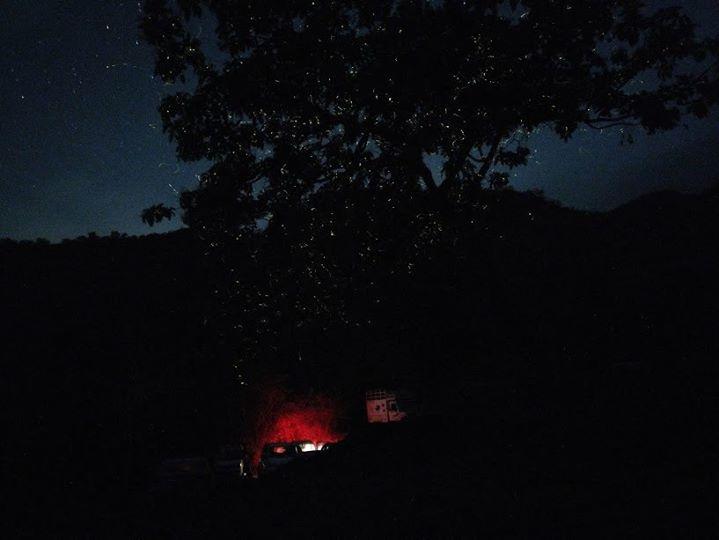Fireflies camping at Camp Hideout