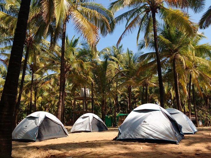Tarkarli summer beach camp