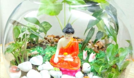 Buddha Terrarium Garden Workshop