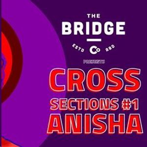 Cross Sections # feat Anisha