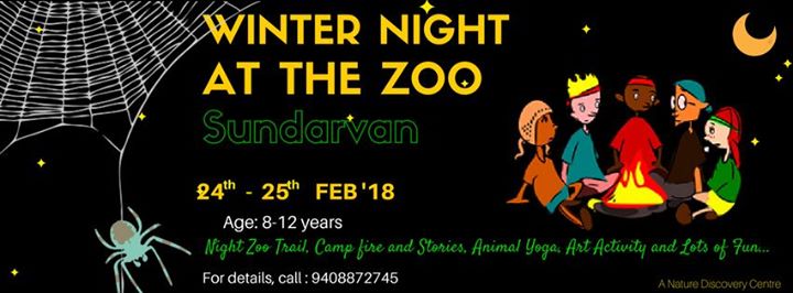 Winter Night At The Zoo