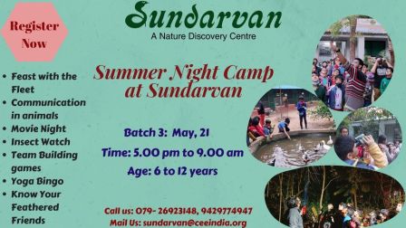 Summer Night Camp@Sundarvan