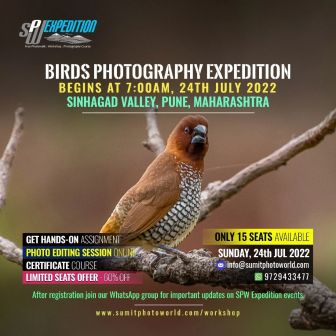 Birds Photography Expedition
