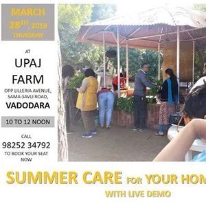 Summer garden care Vadodara