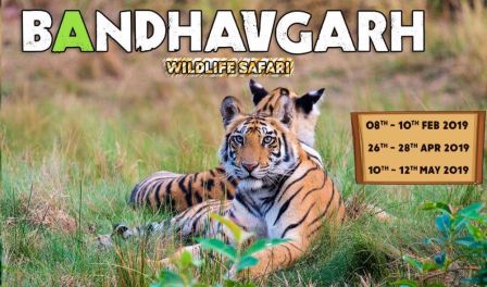 Bandhavgarh Wildlife Safari