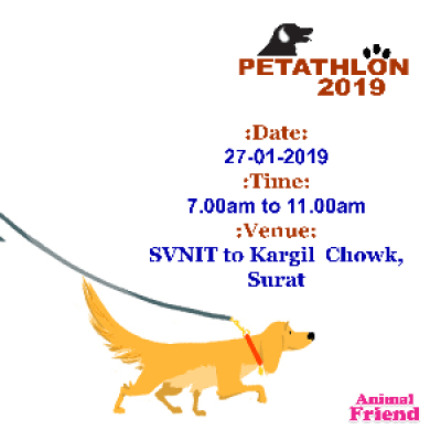 Petathlon 2019