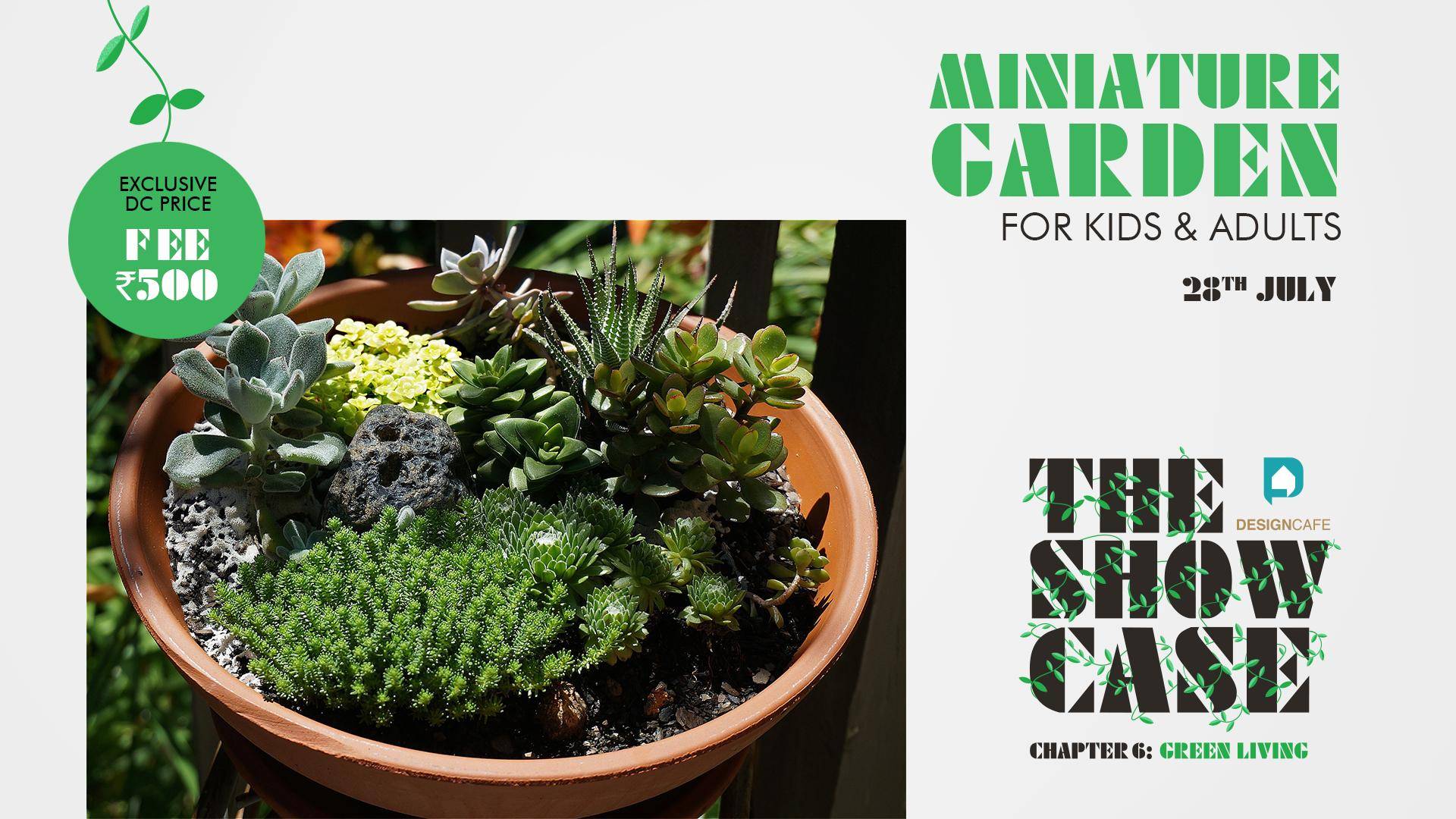 Miniature Garden Workshop: For Kids & Adults - With Pooja Kothari