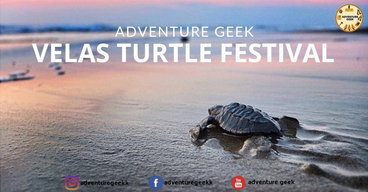 Velas Turtle Festival with adventure activities