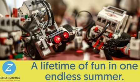 Robotics and Coding Summer Camp - With Zebra Robotics India