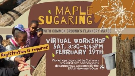 Online Maple Sugaring Family Workshop!